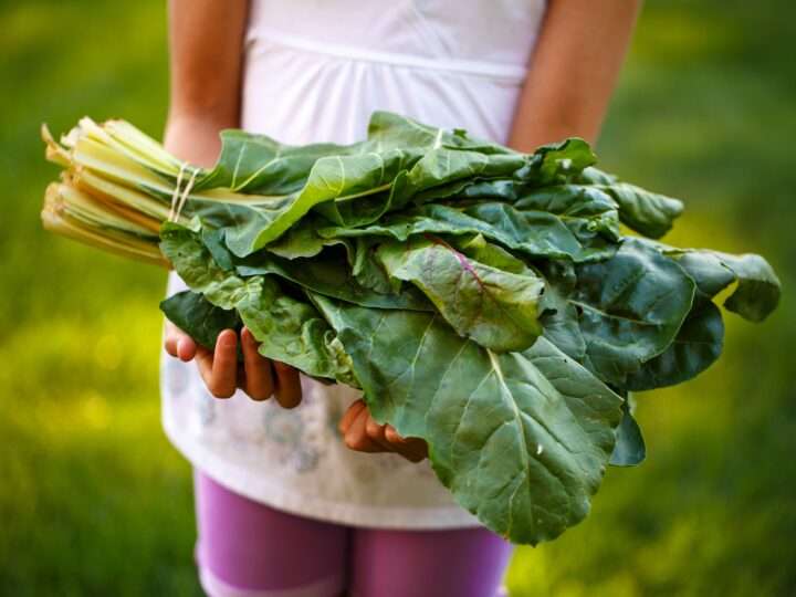 9 Ways To Get Your Kids To Eat Vegetables And Enjoy Them