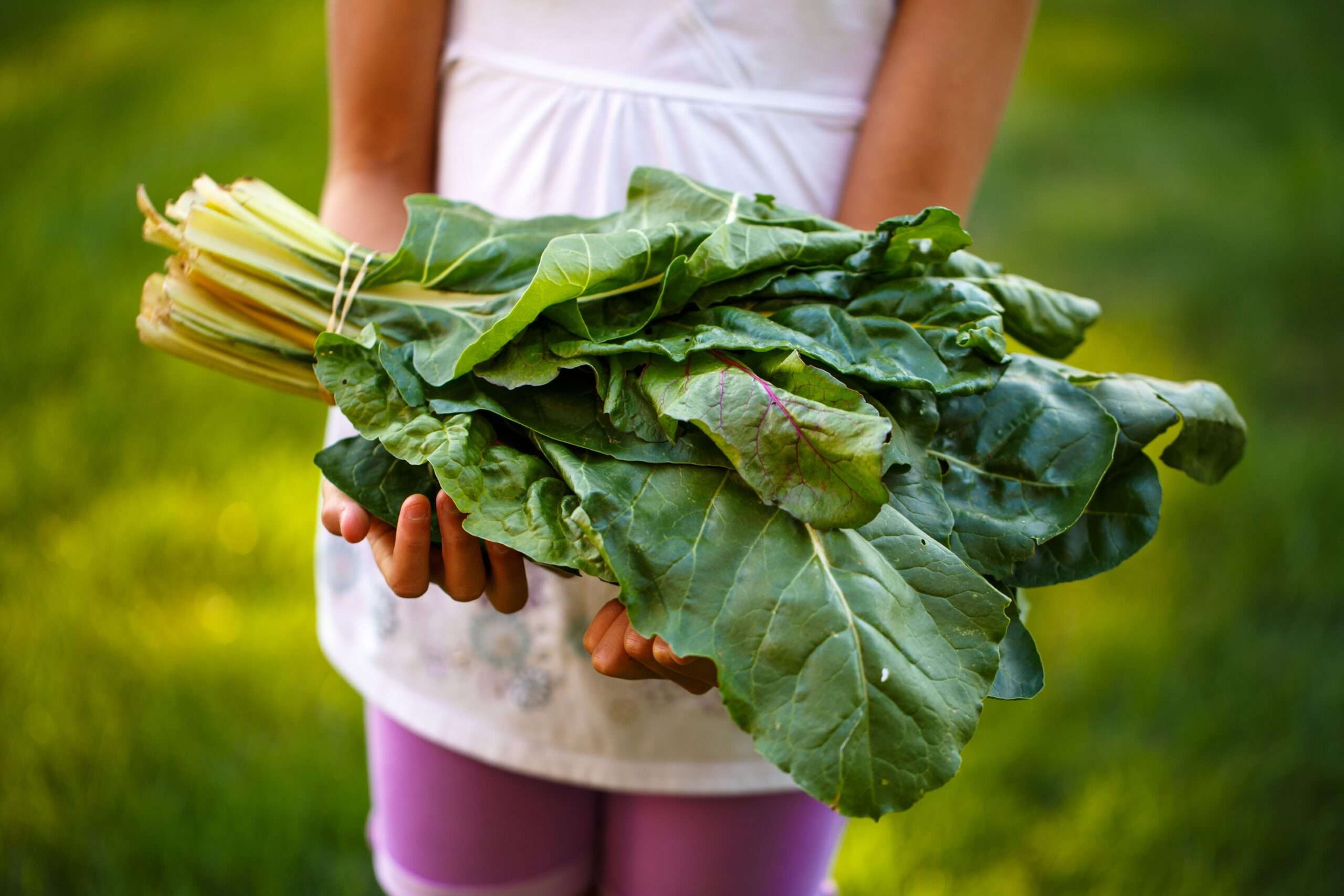 9 Ways To Get Your Kids To Eat Vegetables And Enjoy Them