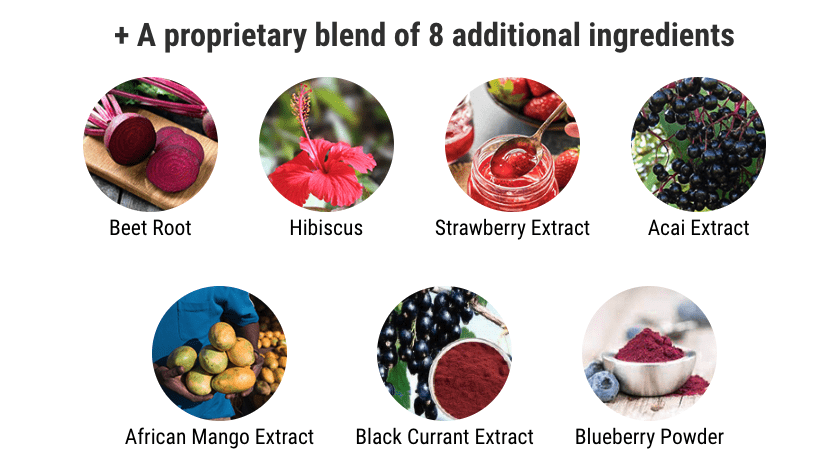 list of weight loss supplement of beet root, hibiscus, strawberry extract, acai extract, african mango extract, black currant extract and blueberry powder.